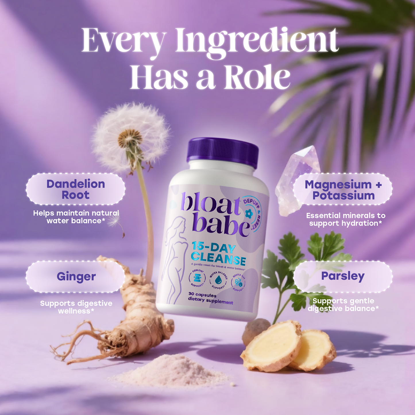 Bloat Babe 15-Day Cleanse